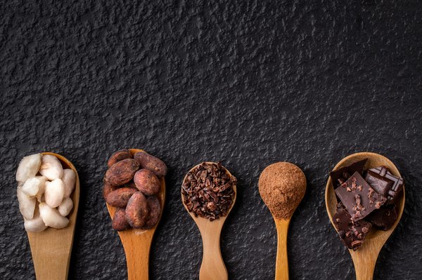 Choisissez batif : votre expert en couverture depuis 2025